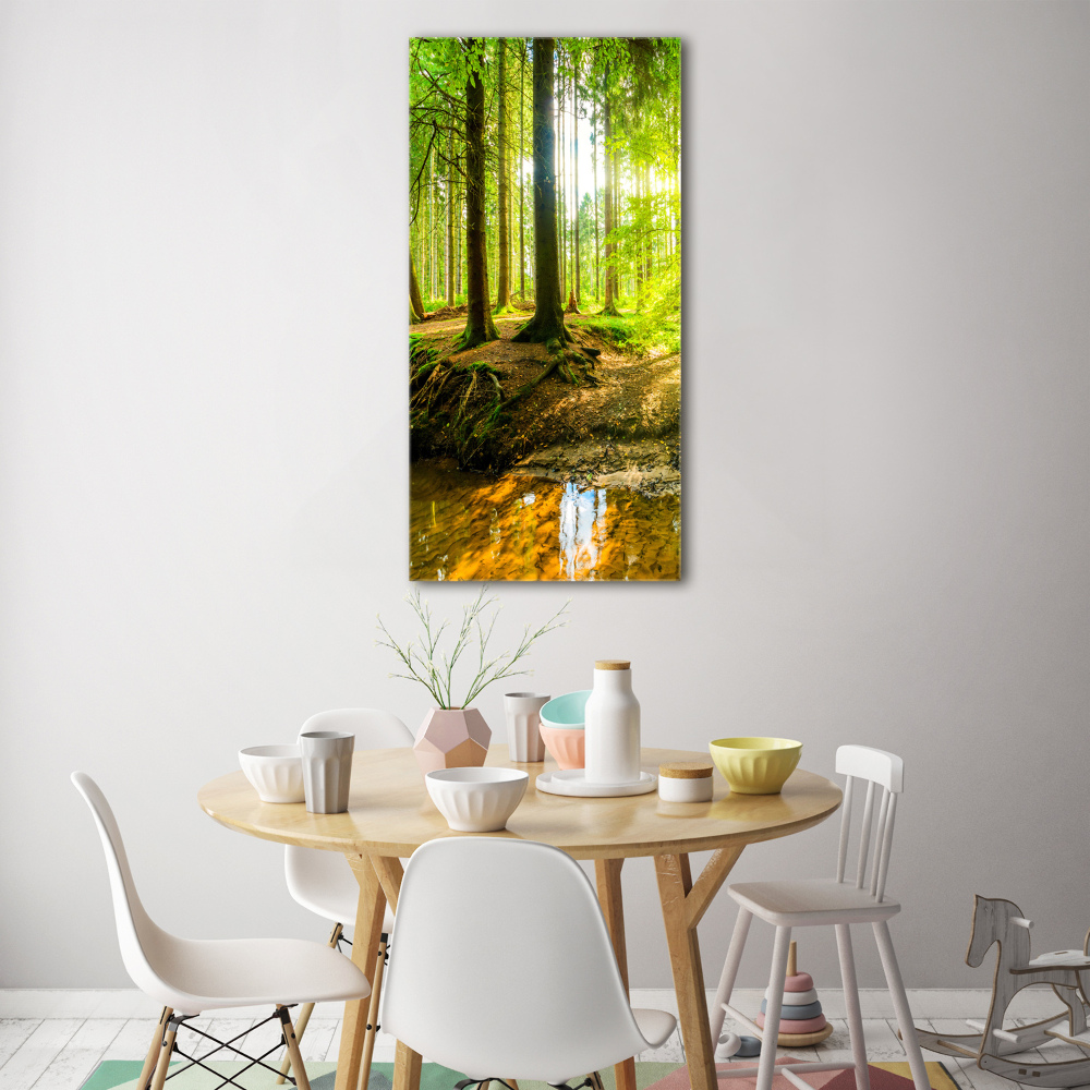 Print on acrylic The sun in the forest