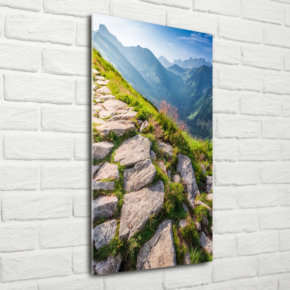 Print on acrylic Mountain trail