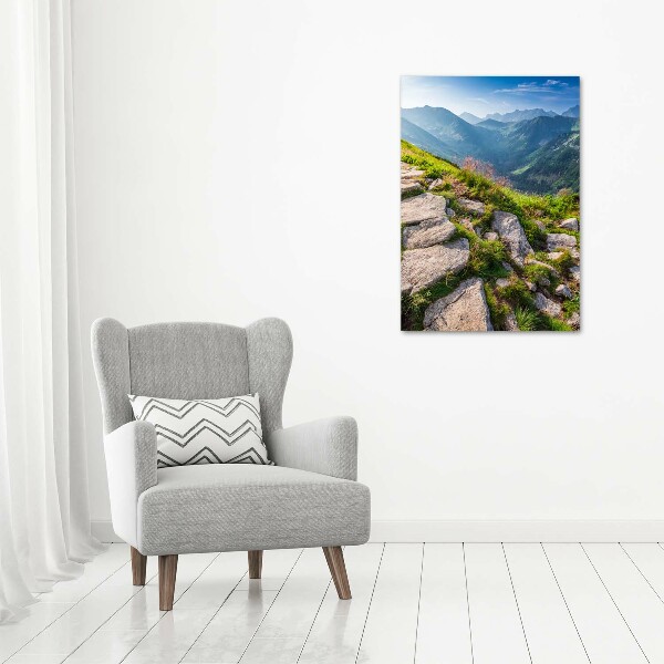 Print on acrylic Mountain trail