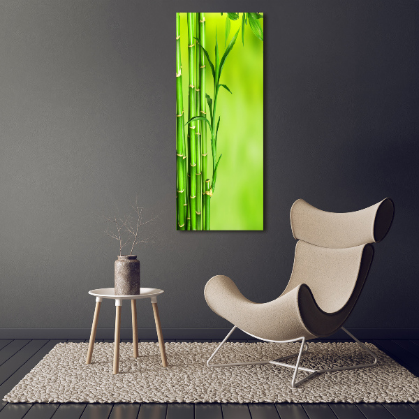 Acrylic wall art Bamboo