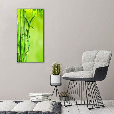 Acrylic wall art Bamboo