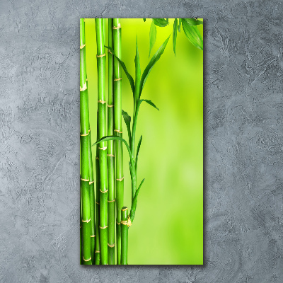 Acrylic wall art Bamboo