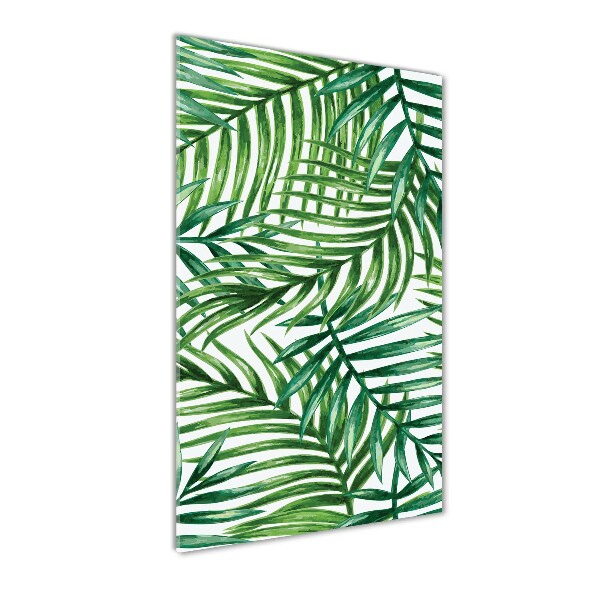 Palm leaves