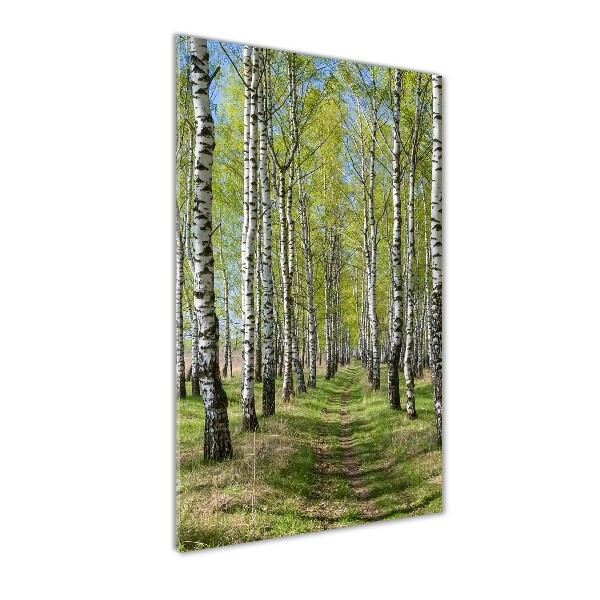 Print on acrylic Birch forest