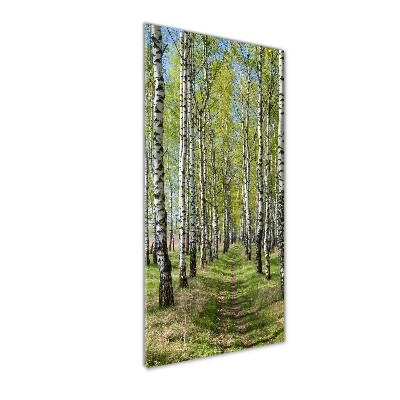 Print on acrylic Birch forest