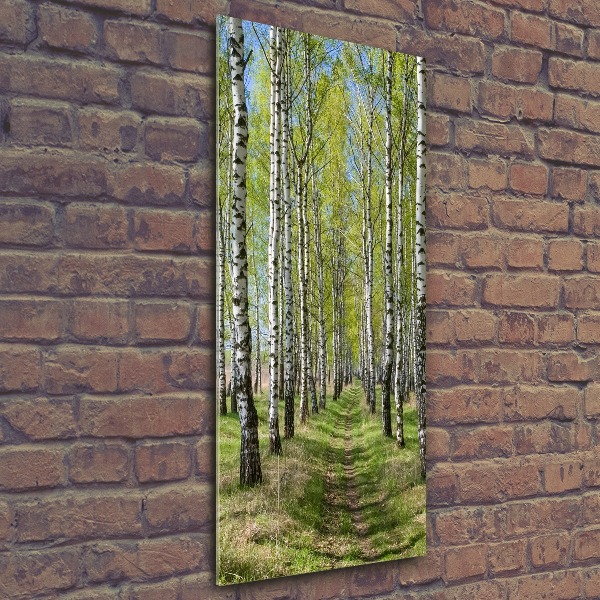 Print on acrylic Birch forest