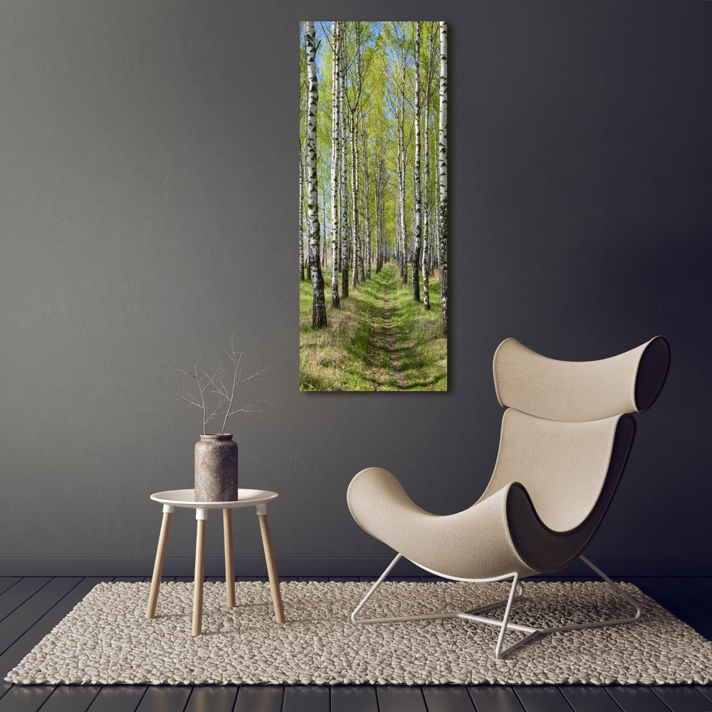 Print on acrylic Birch forest