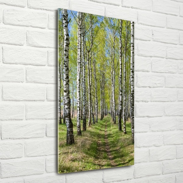 Print on acrylic Birch forest