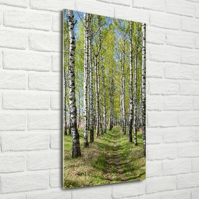 Print on acrylic Birch forest