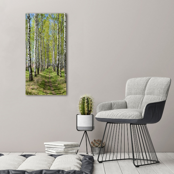 Print on acrylic Birch forest