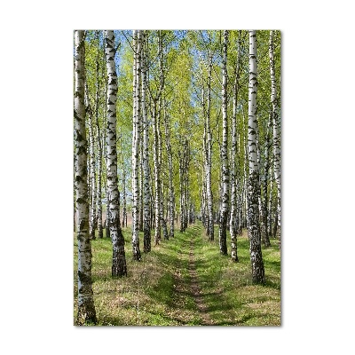 Print on acrylic Birch forest