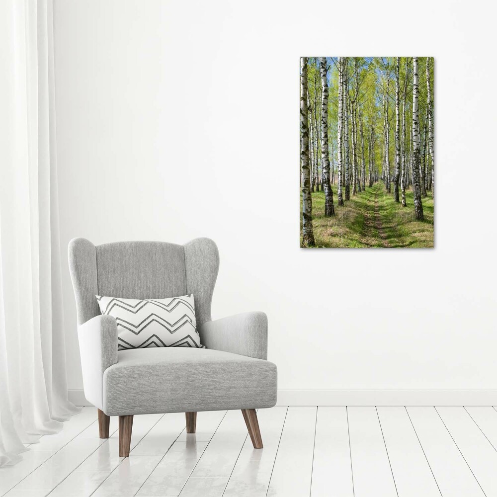 Print on acrylic Birch forest