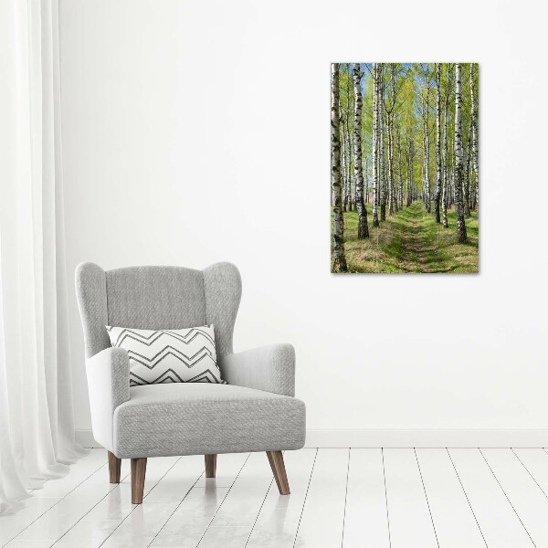 Print on acrylic Birch forest