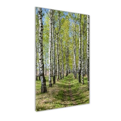 Print on acrylic Birch forest