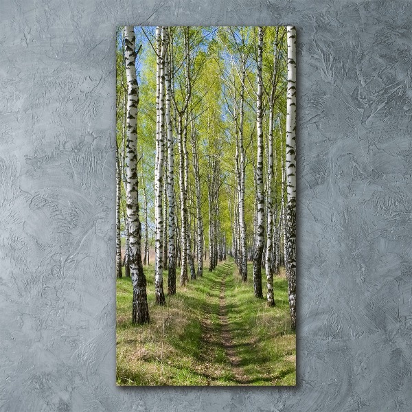 Print on acrylic Birch forest