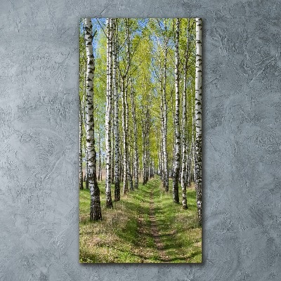 Print on acrylic Birch forest