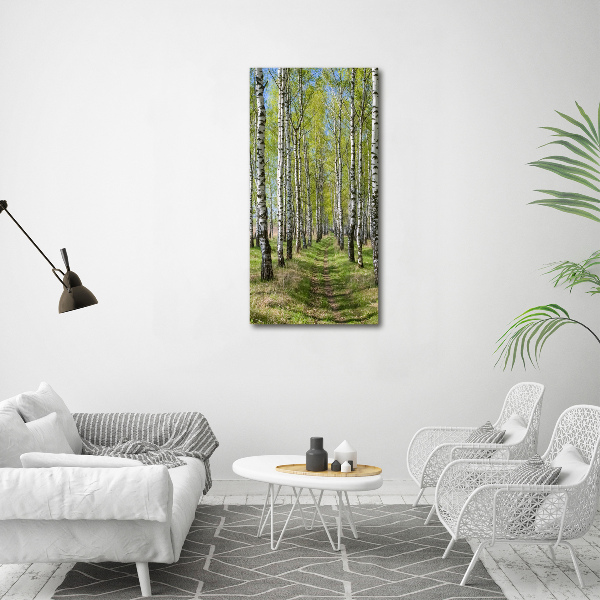 Print on acrylic Birch forest