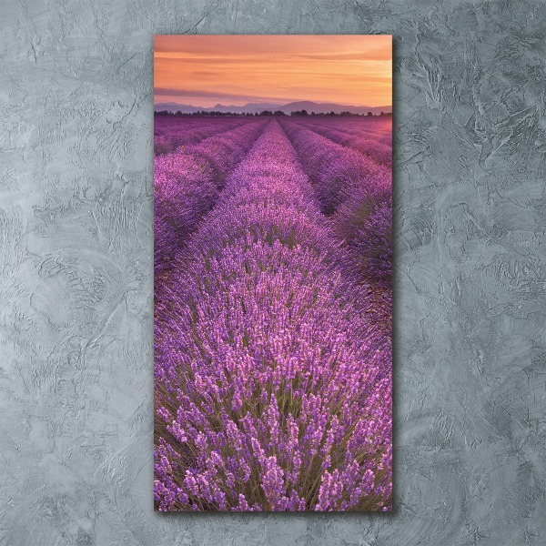 Wall art acrylic Lavender field