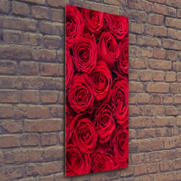 Print on acrylic Red rose