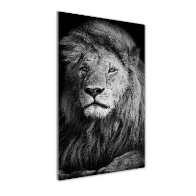 Print on acrylic Portrait of a lion