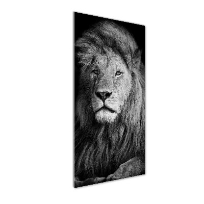 Print on acrylic Portrait of a lion