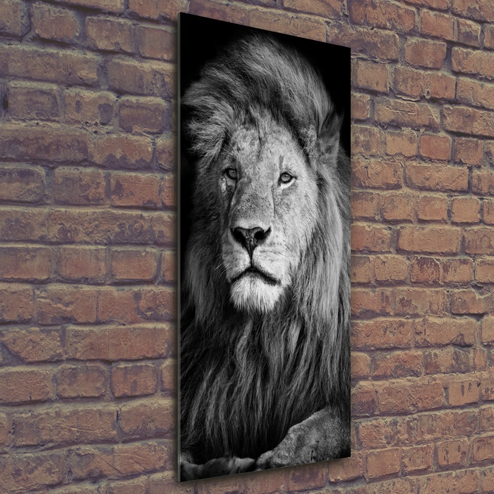 Print on acrylic Portrait of a lion