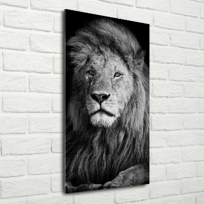 Print on acrylic Portrait of a lion