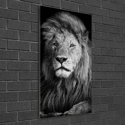 Print on acrylic Portrait of a lion