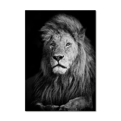 Print on acrylic Portrait of a lion