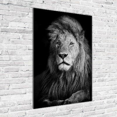 Print on acrylic Portrait of a lion