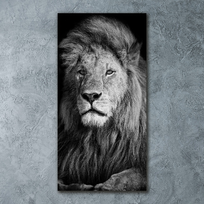 Print on acrylic Portrait of a lion