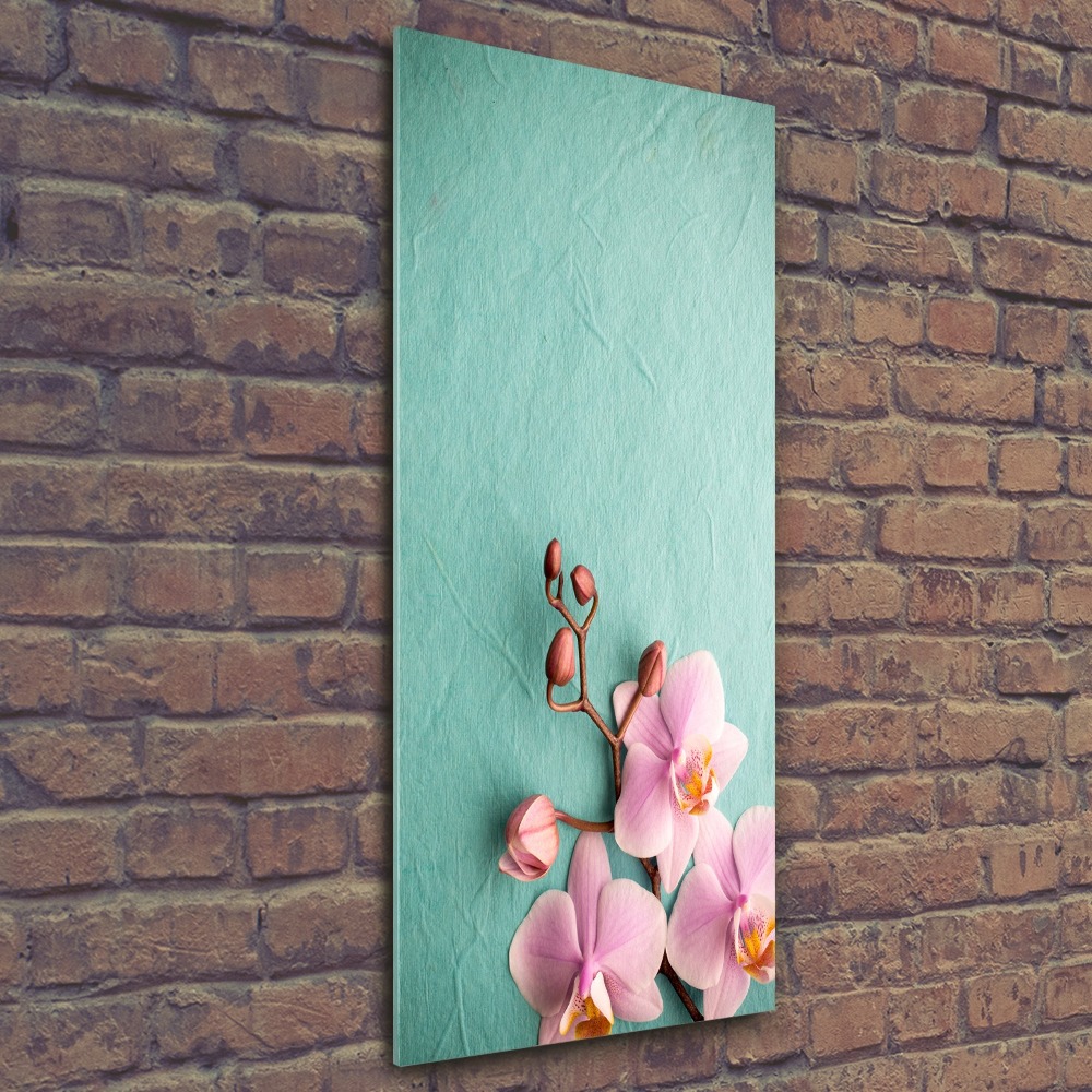 Acrylic wall art Pink orchid