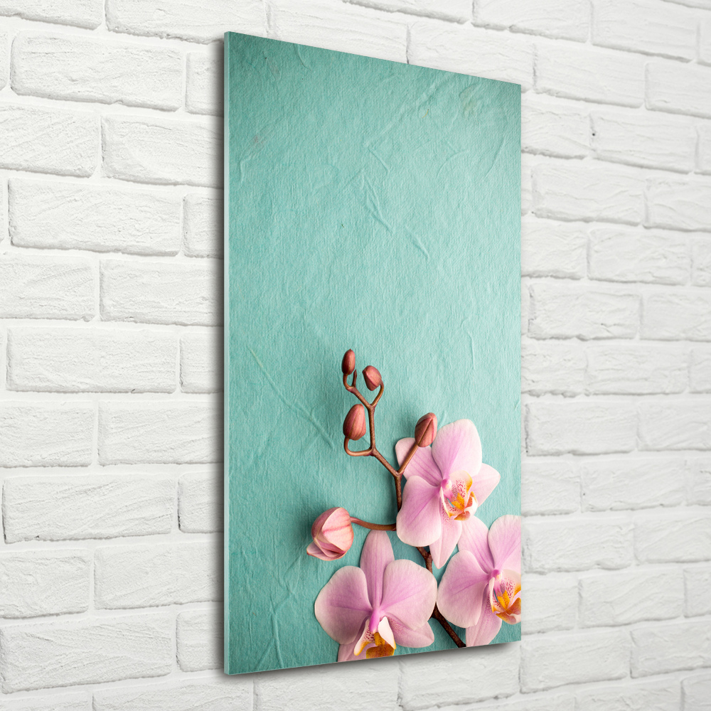 Acrylic wall art Pink orchid