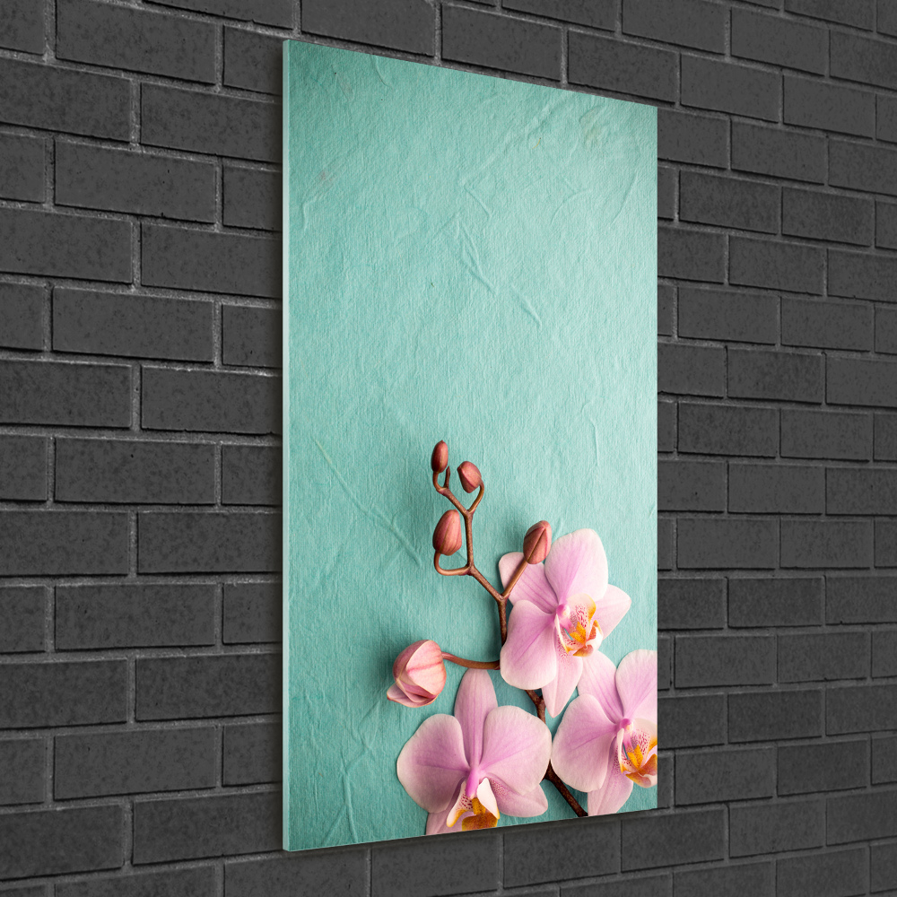 Acrylic wall art Pink orchid