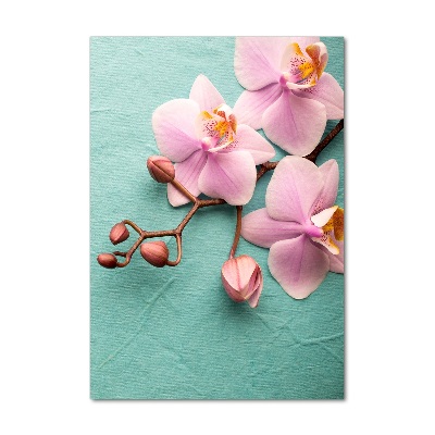 Acrylic wall art Pink orchid