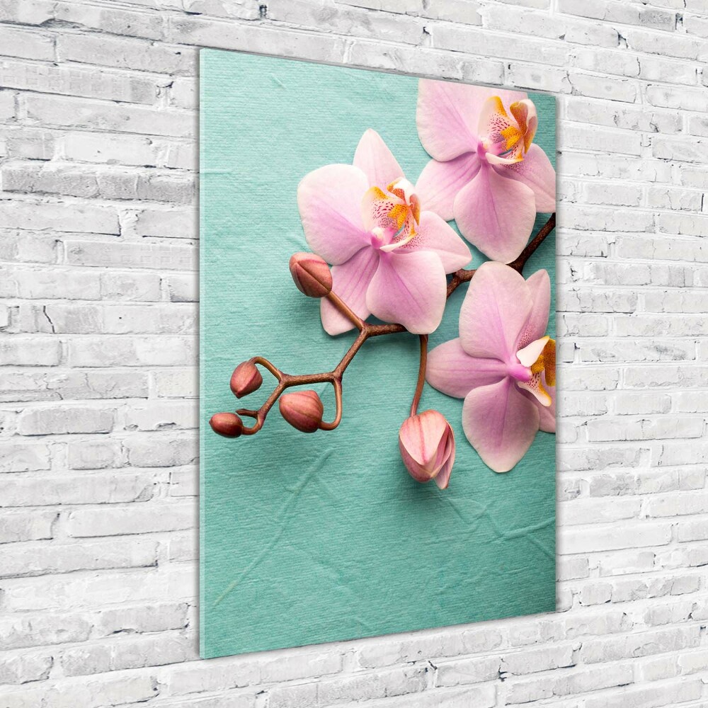 Acrylic wall art Pink orchid