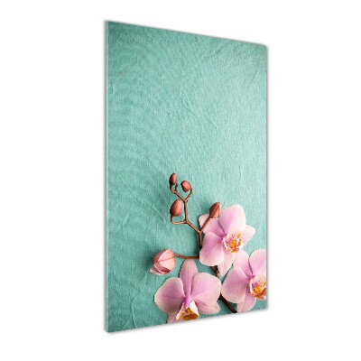 Acrylic wall art Pink orchid