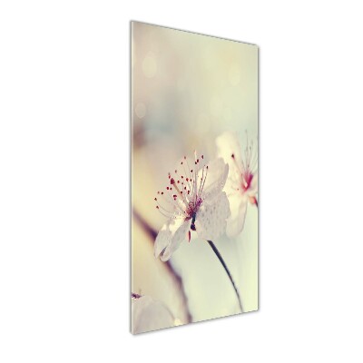 Acrylic wall art Cherry blossoms