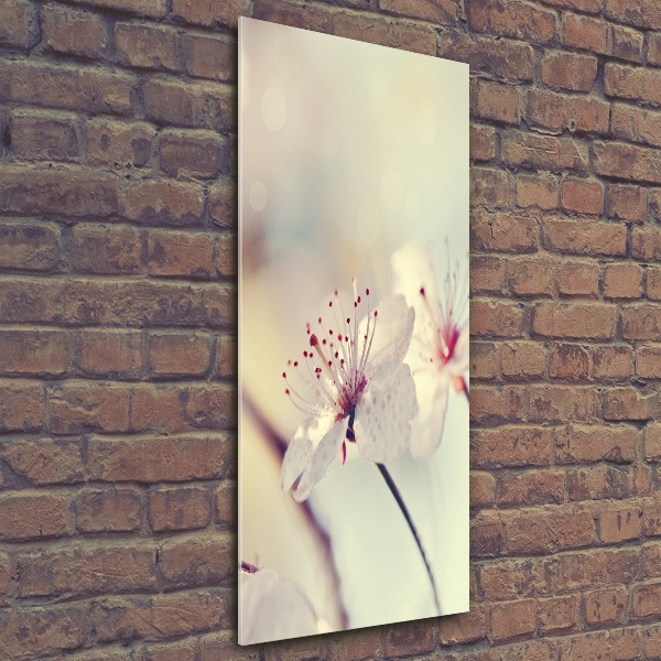 Acrylic wall art Cherry blossoms