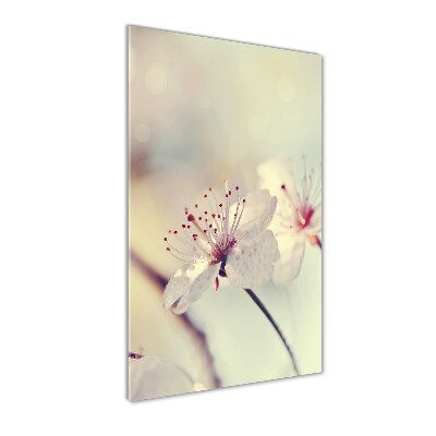 Acrylic wall art Cherry blossoms