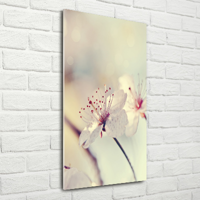 Acrylic wall art Cherry blossoms