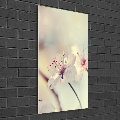 Acrylic wall art Cherry blossoms