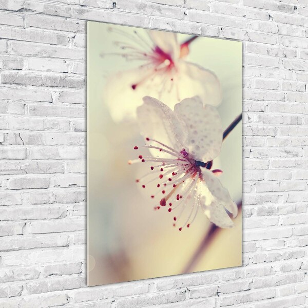 Acrylic wall art Cherry blossoms