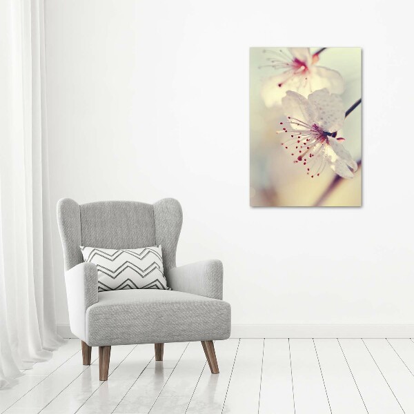 Acrylic wall art Cherry blossoms