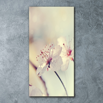 Acrylic wall art Cherry blossoms