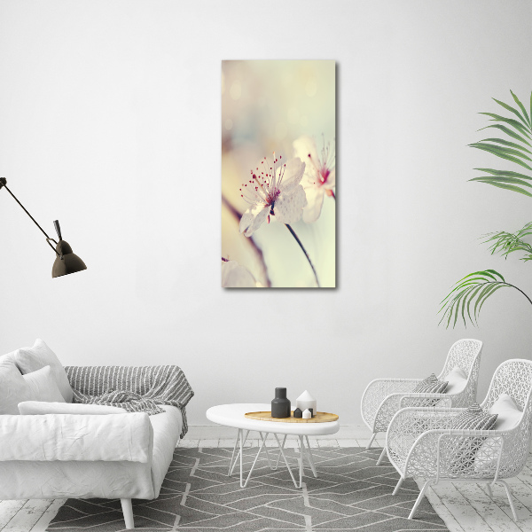 Acrylic wall art Cherry blossoms