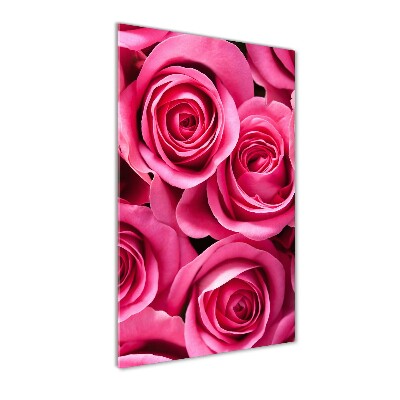 Acrylic print Pink roses