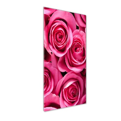 Acrylic print Pink roses