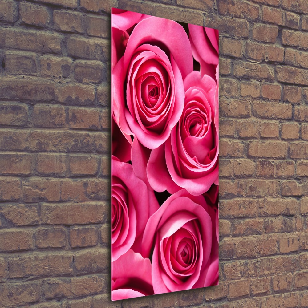 Acrylic print Pink roses