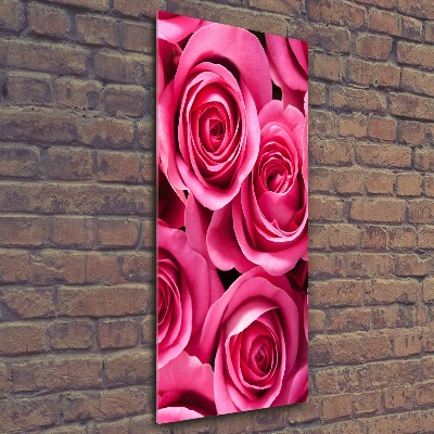 Acrylic print Pink roses